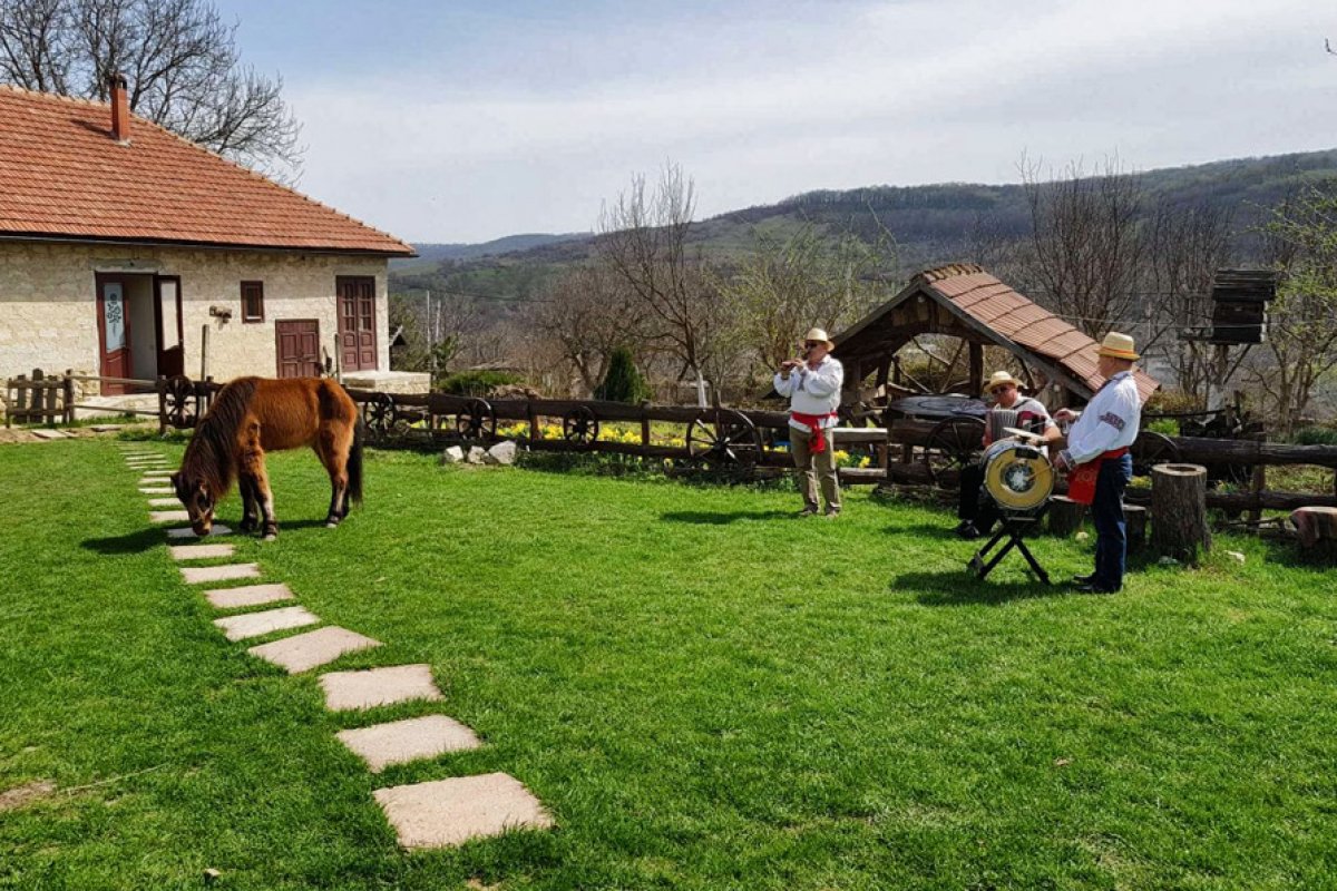 “Casa Părintească” (Parents' Home) 