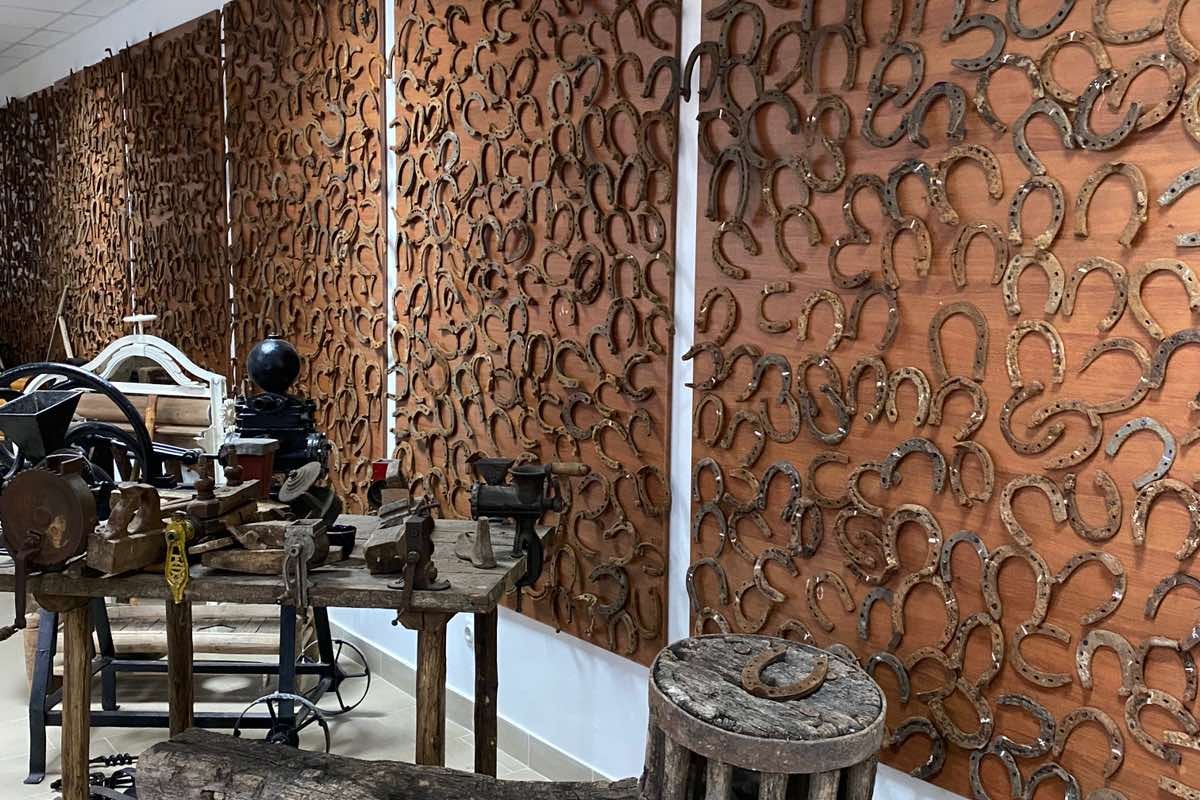 Largest collection of horseshoes: Petru Costin Museum